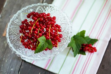 Rote Johannisbeeren - Redcurrants