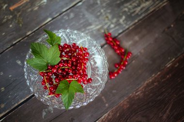 Rote Johannisbeeren - Redcurrants