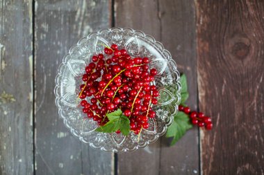 Rote Johannisbeeren - Redcurrants