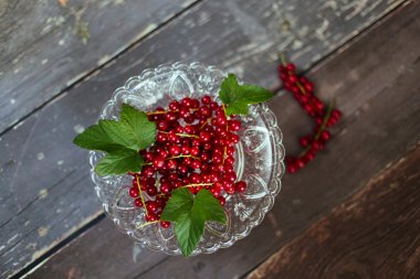 Rote Johannisbeeren - Redcurrants