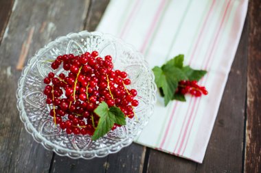 Rote Johannisbeeren - Redcurrants