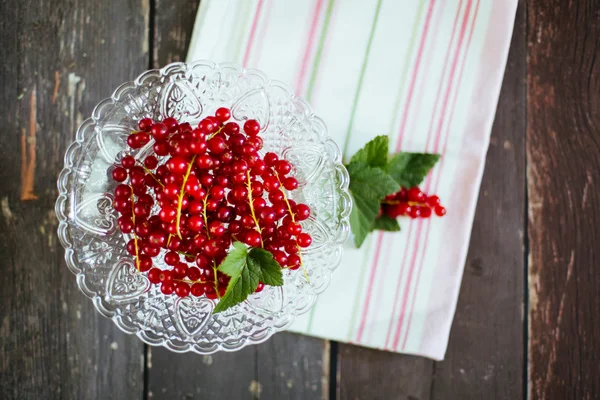 Rote Johannisbeeren - groselhas — Fotografia de Stock