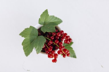 Rote Johannisbeeren - Redcurrants