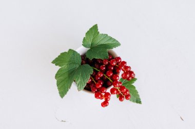 Rote Johannisbeeren - Redcurrants