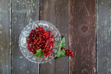 Rote Johannisbeeren - Redcurrants