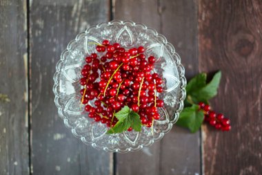 Rote Johannisbeeren - Redcurrants