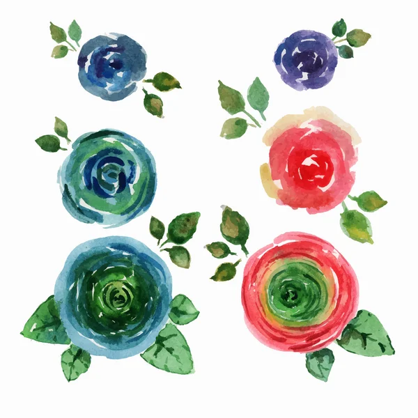 Conjunto de rosas aquarela . — Vetor de Stock