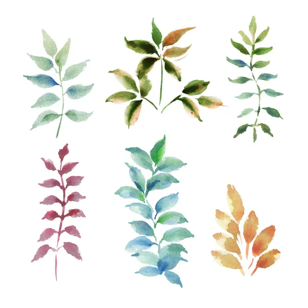 Jeu de feuilles aquarelle. — Image vectorielle