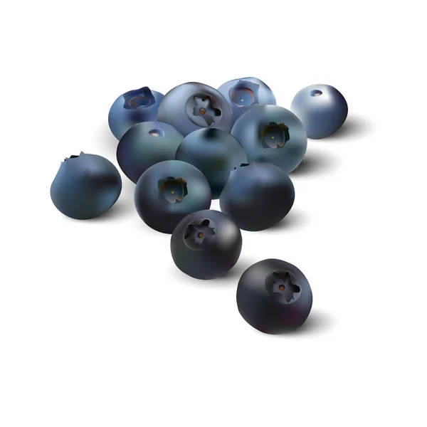 现实的蓝莓. — 图库矢量图片