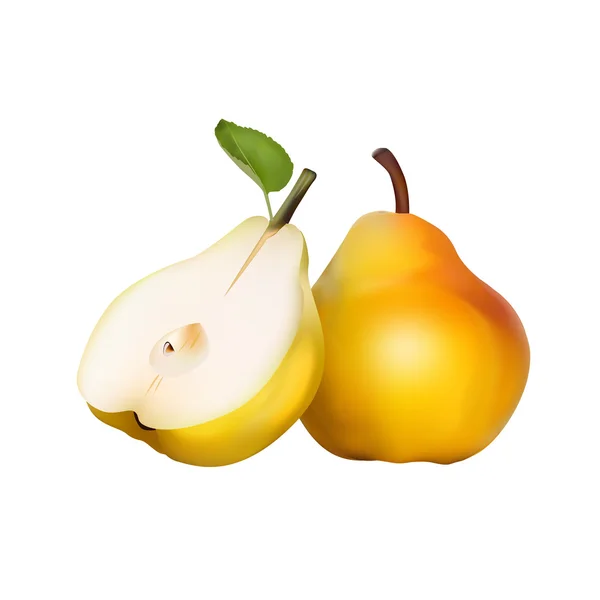 Realistic vector pears. — Stock Vector