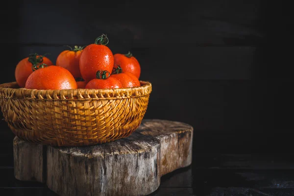 Os tomates maduros — Fotografia de Stock