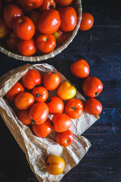 붉은 토마토 그룹 — 스톡 사진