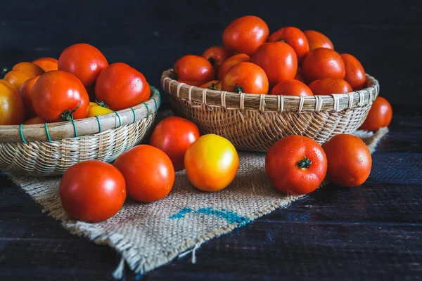 Grupo dos tomates vermelhos — Fotografia de Stock