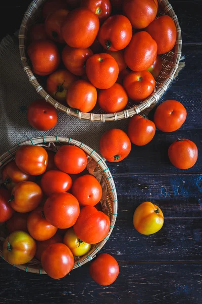 붉은 토마토 그룹 — 스톡 사진