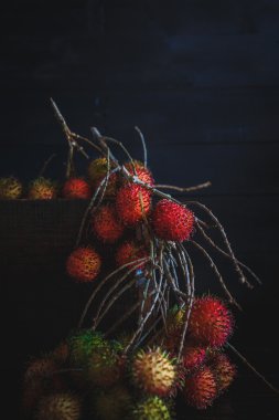Kırmızı rambutans grubu