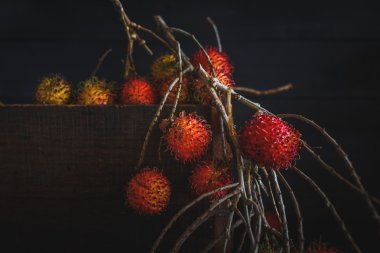 Kırmızı rambutans grubu