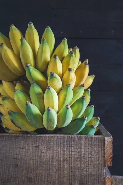 Bananes jaunes mûres — Photo