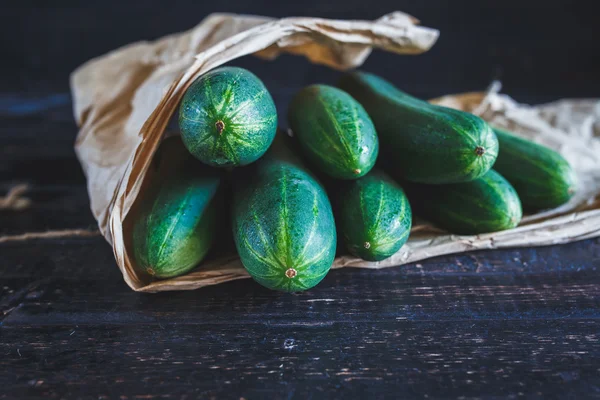 Yeşil salatalık grup — Stok fotoğraf