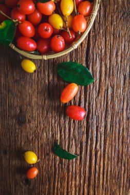 İğde latifolia meyve