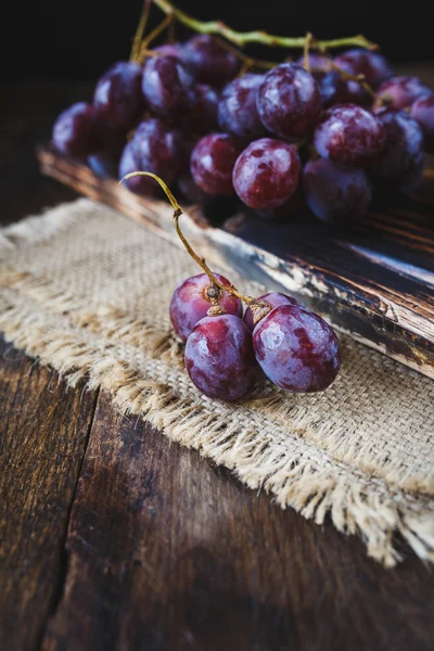 Raisins violets frais Images De Stock Libres De Droits