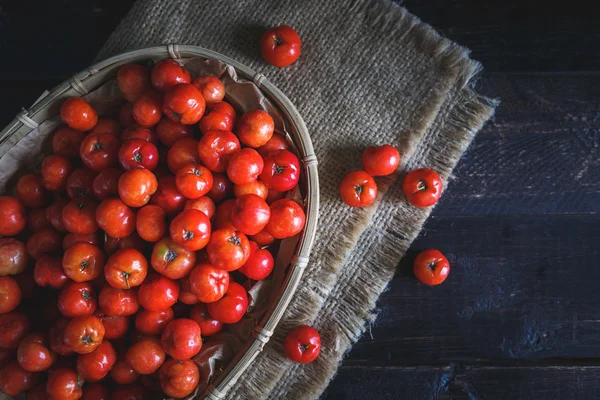 Red Barbados cherry — Stock Photo, Image