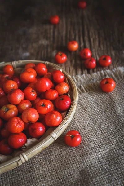 Rote Barbados-Kirsche — Stockfoto