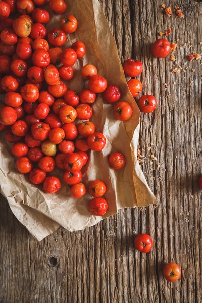 Red Barbados cherry — Stock fotografie