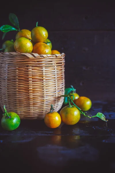 Żółty kumkwaty wietnamski — Zdjęcie stockowe