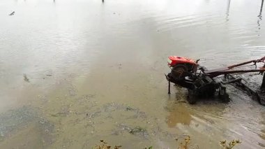 İnsanlar pirinç tarlalarını traktörlerle sürüyorlar.