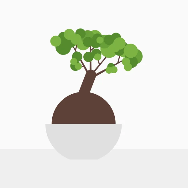 Bonsai düz kase