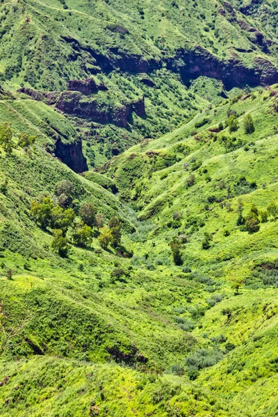 Kanarya adalarındaki Tenerife adasındaki tepelerde yeşil çimenler ve dağlar, İspanya.