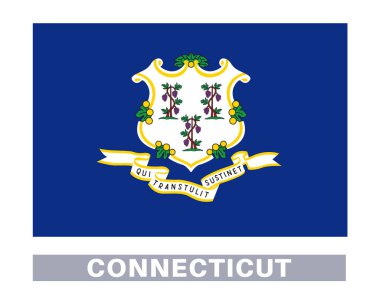 Bağlantı bayrağı. Amerikan devlet bayrakları resmi renk ve oranlarda