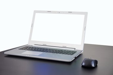 kablosuz fare ve dizüstü.