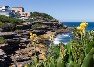 Sydney kayalıklarla