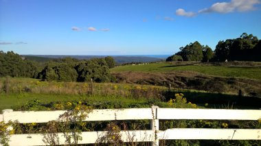 Lavers Hill, Vic Australia Panorama görünüm