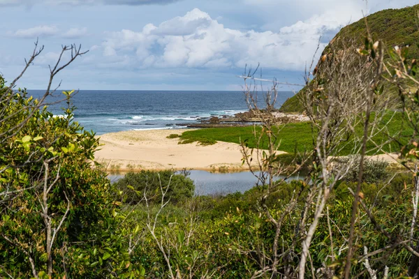 Glenrock Park con Laguna en Newcastle, NSW Australia —  Fotos de Stock