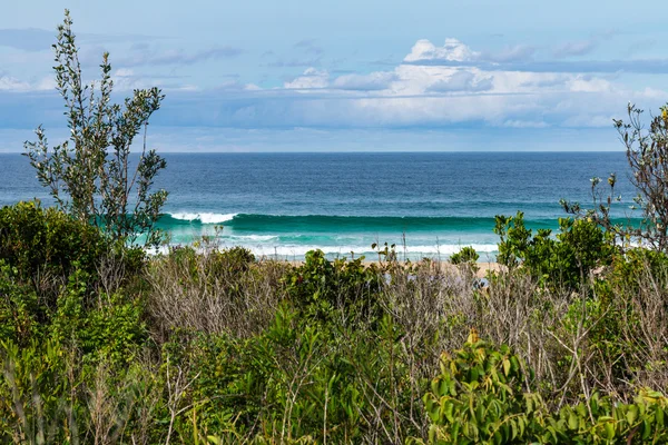 Newcastle, Nsw Avustralya Glenrock Park'ta güzel plajı — Stok fotoğraf