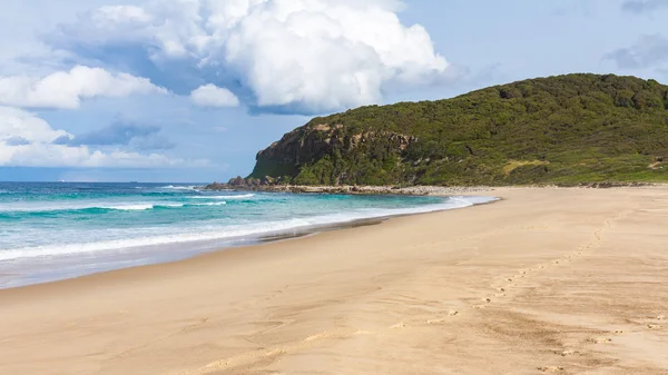 Newcastle, Nsw Avustralya Glenrock Park'ta güzel plajı — Stok fotoğraf