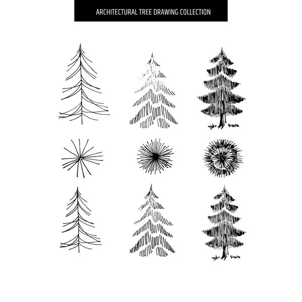 Hand getrokken verschillende bomen — Stockvector