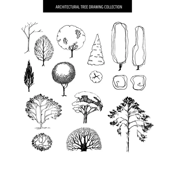 Diferentes árboles dibujados a mano — Archivo Imágenes Vectoriales