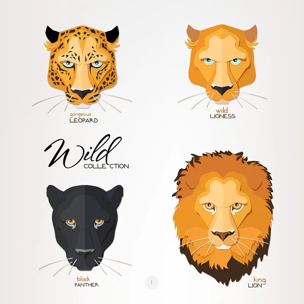 Leopardo, leona, pantera y león — Vector de stock