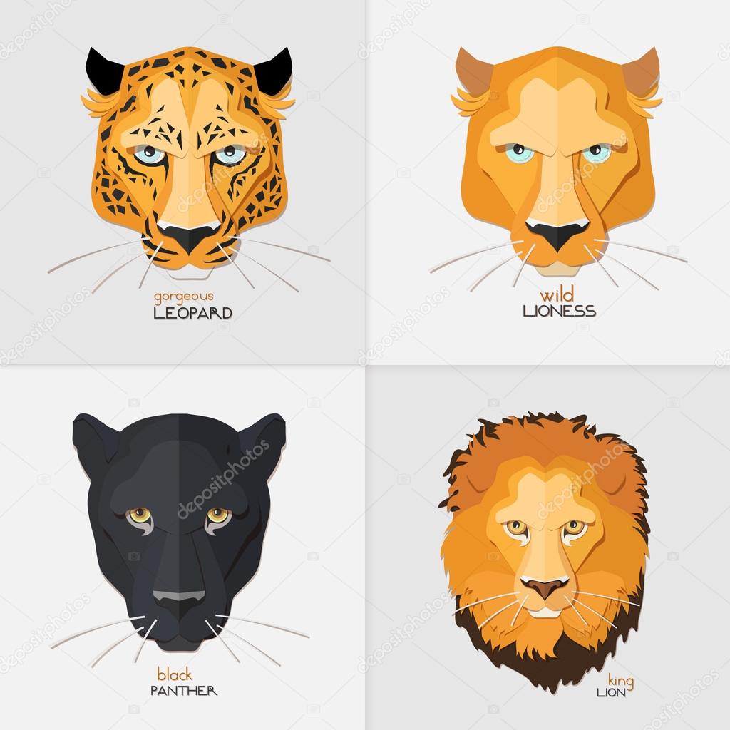 Leopard, lioness, panther and lion 