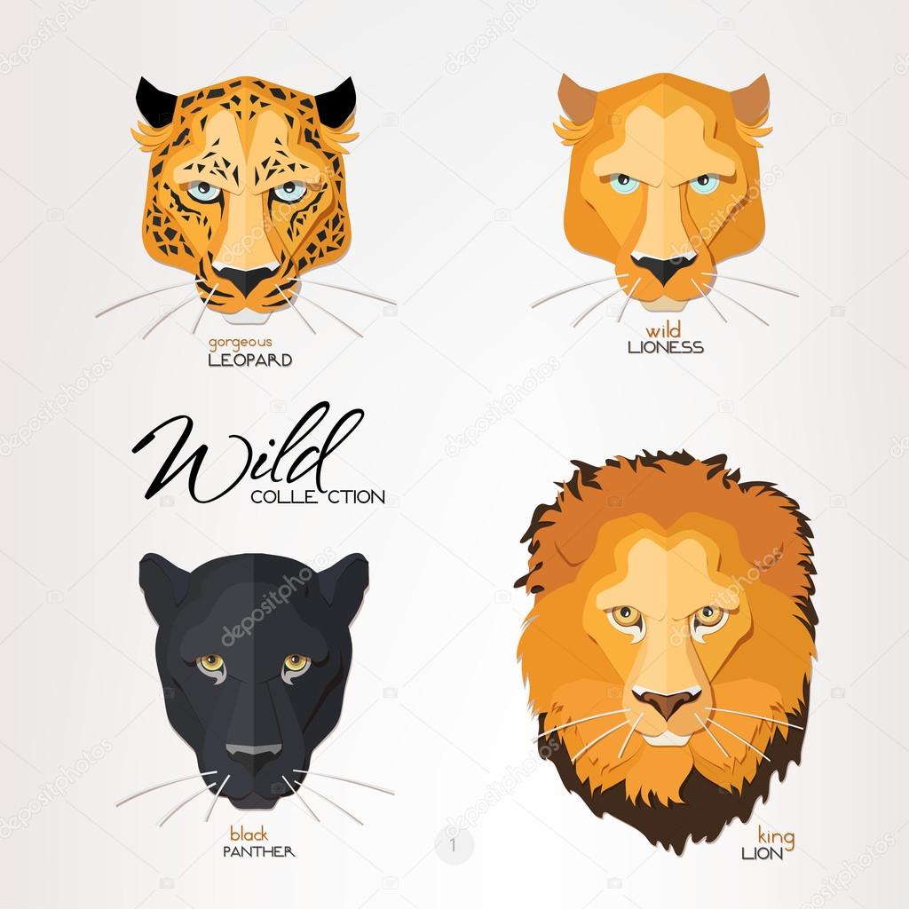 Leopard, lioness, panther and lion 