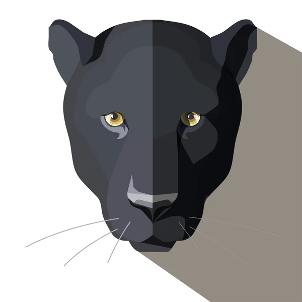 Puma vektörler Puma vektör çizimler, vektörel grafik