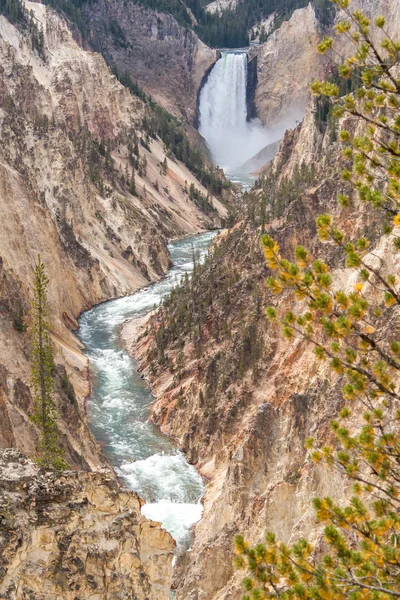 Нижний водопад реки Йеллоустон в Вайоминге Лицензионные Стоковые Изображения