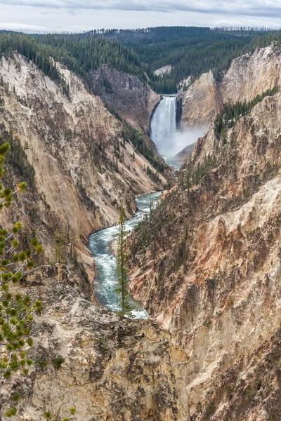 在怀俄明州的黄石河下瀑布 免版税图库照片