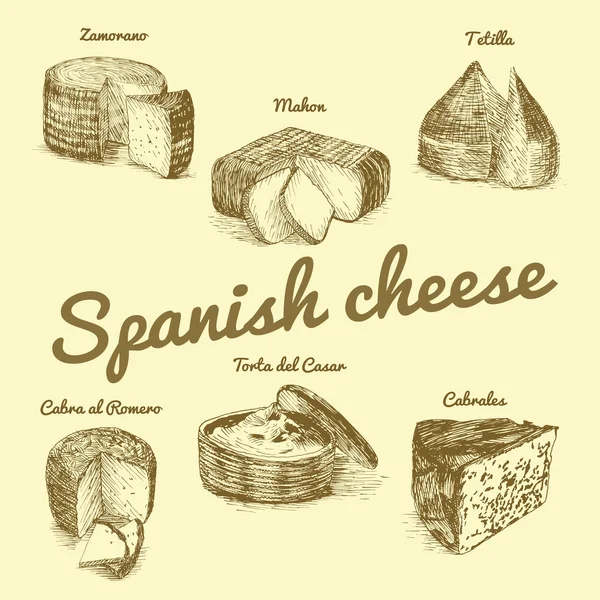 Vector geïllustreerd Set #3 van Spaanse kaas Menu. Illustratieve soorten kaas uit Spanje — Stockvector