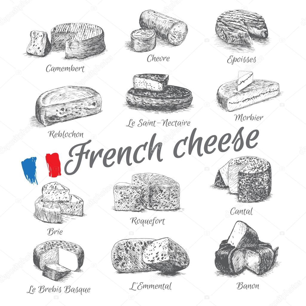 Vector ilustrado Conjunto 4 del Menú de Queso Francés. Tipos ilustrativos de queso de Francia