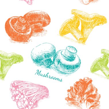 Illustrative sorts of mushrooms in seamless background clipart