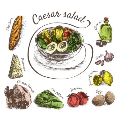 Sezar salatası malzemeler vektör renkli çizim